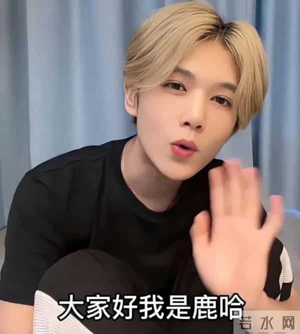 鹿哈官宣领证不到24小时，令人担心的事接连发生，岳云鹏没说错