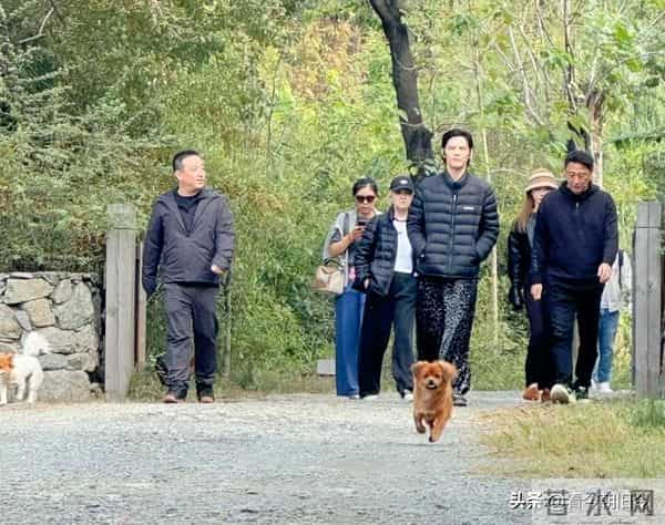 向佐和朋友现身湖北旅游，他的打扮好朴素，整个人气质土土。