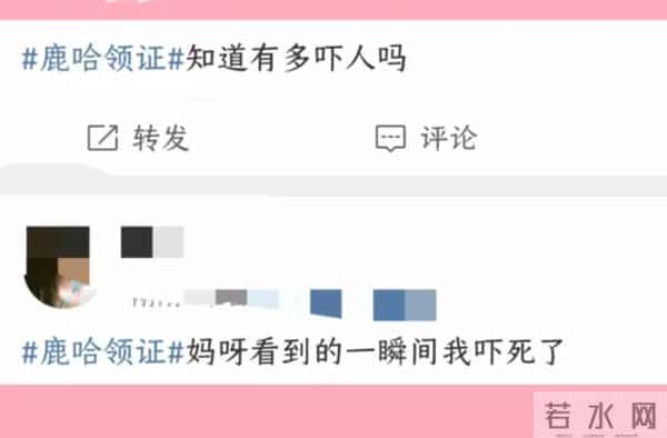 “牛鬼蛇神”现原形,鹿哈官宣领证不到24小时,恶心的一幕出现了