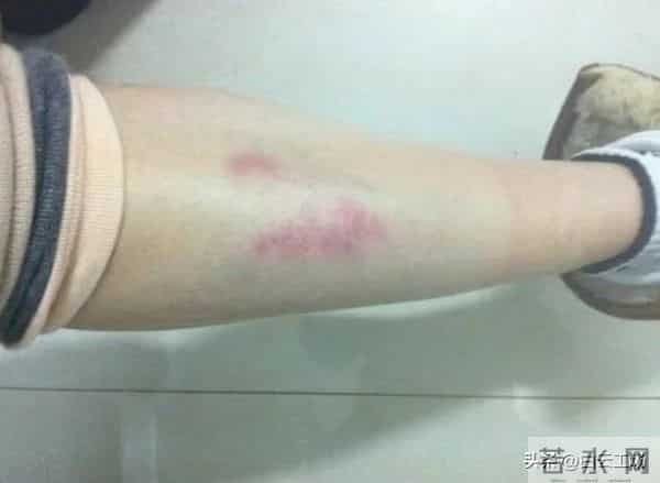 消失10年,归来满身疮痍!娱乐圈又一桩伪豪门婚姻的假面被撕碎了