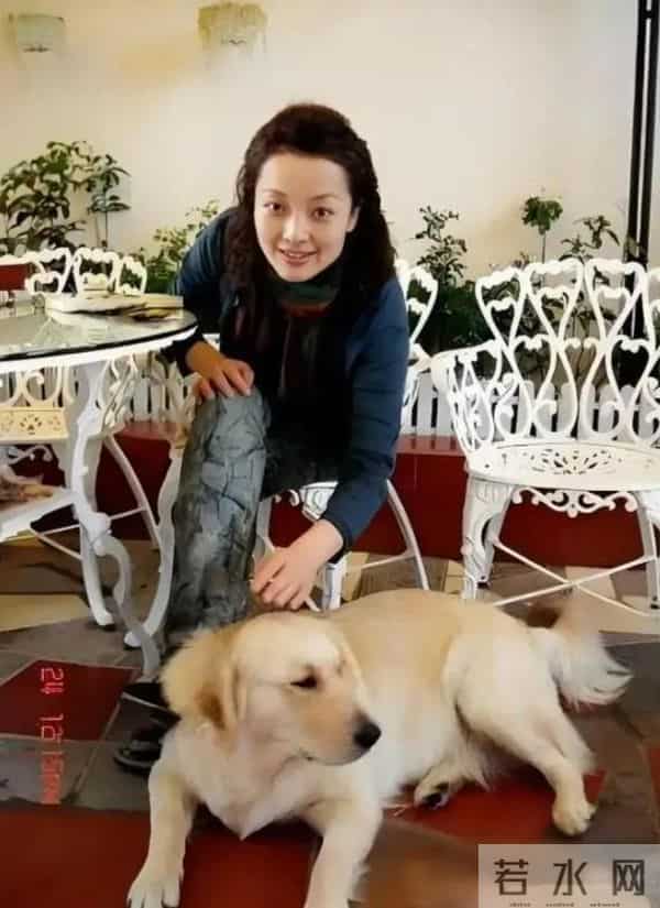 牡丹花下死!74岁被指控职务侵占的张纪中,终究“栽”到女人手里