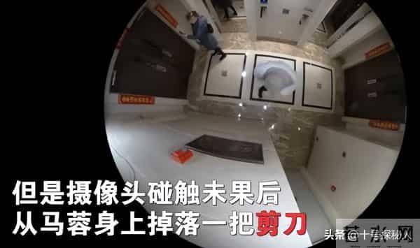 王宝强也没想到,与马蓉离婚9年后,自己一双儿女开始给他争光了