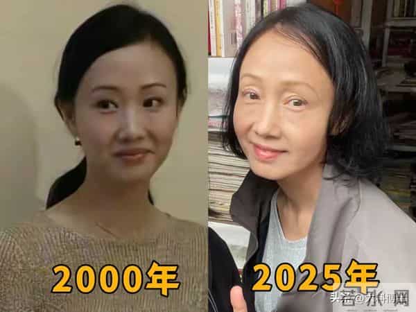 女演员黄慧颐现状:开老书店维生,老态明显,曾被称广东标准媳妇