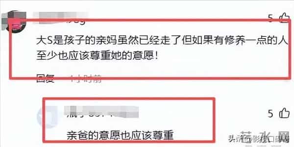 大S去世9个月后，张兰一句话说明了，她生前费尽心思的事情白费
