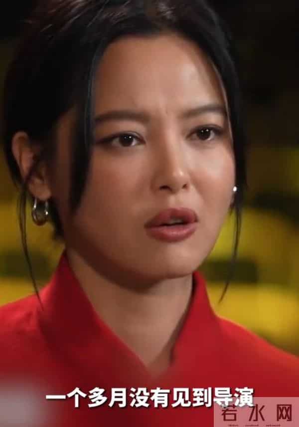 这一次,高叶一句"活该"说出辛芷蕾处境,张国立的话终于有人信了