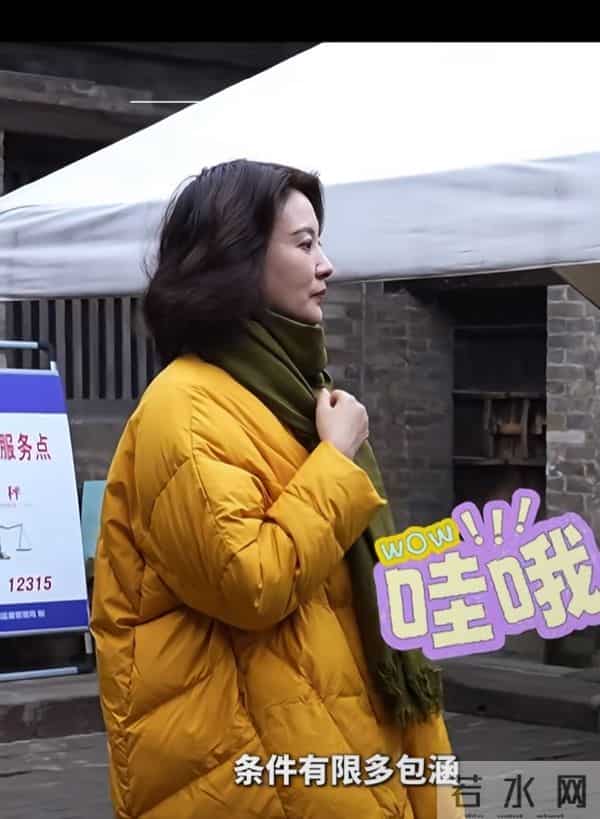 刘芳菲探访铁佛寺,姜黄羽绒服搭墨绿围巾,知性优雅尽显文旅风采