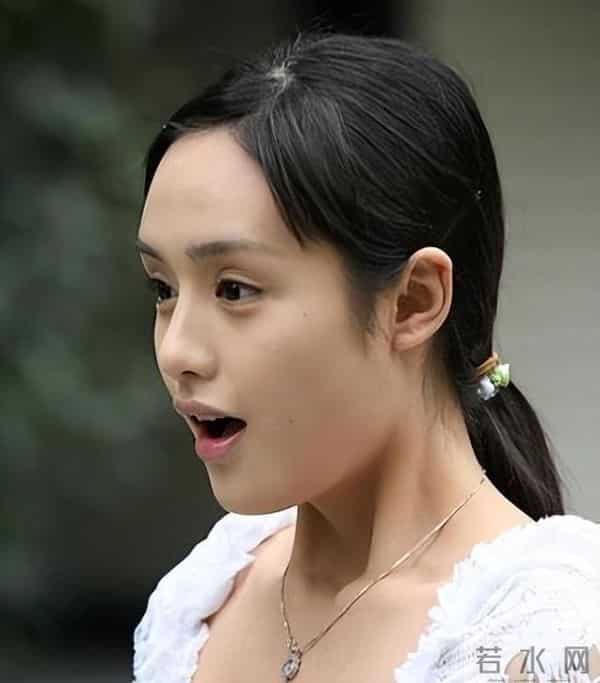 饶敏莉现状：和富大龙离婚，结婚12年不生子，如今在国防大学任教