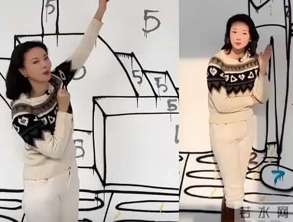 前央视主持刘芳菲现状,俩富豪前任全都判死刑,如今她满眼空洞