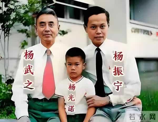 杨武之与妻子吵架,杨振宁保护母亲怒吼父亲,弟弟杨振平称赞哥哥