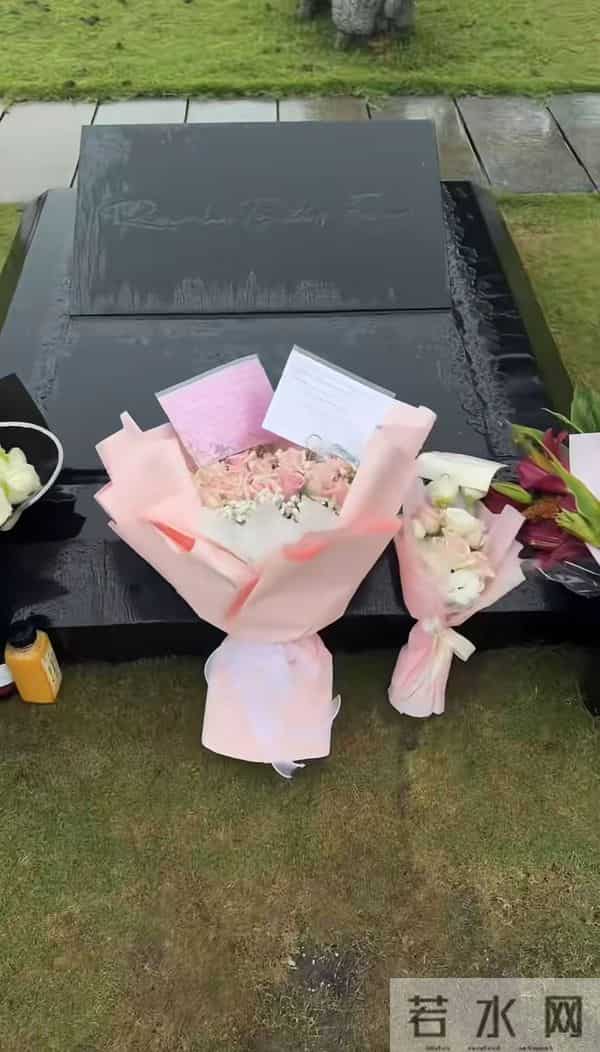 网友实地探访大S墓地！竟然没有照片名字，具俊晔只撰写一句碑文