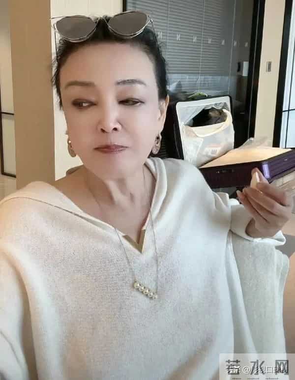 大S去世9个月后，张兰一句话说明了，她生前费尽心思的事情白费
