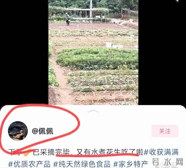 瑾汐带火全家,却被二哈说我不配宠妹,流量账算碎了最后一点情分