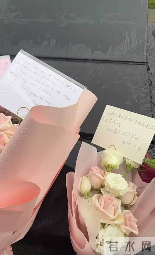 网友实地探访大S墓地！竟然没有照片名字，具俊晔只撰写一句碑文