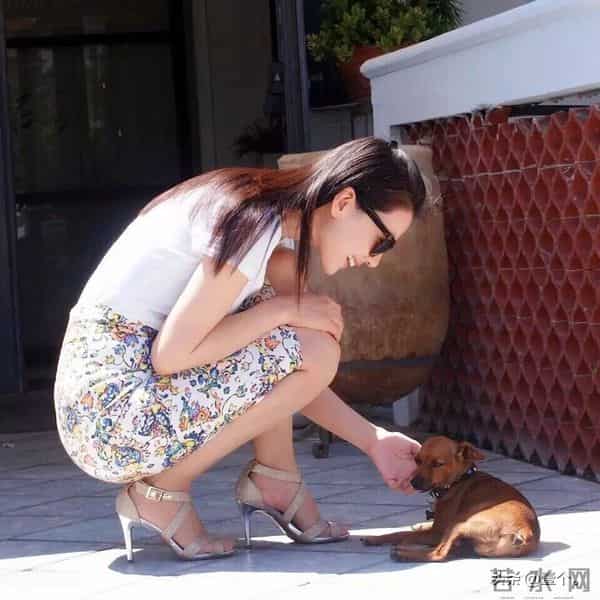 高圆圆岁月偏宠的颜值,媚而不俗的氛围感谁顶得住!