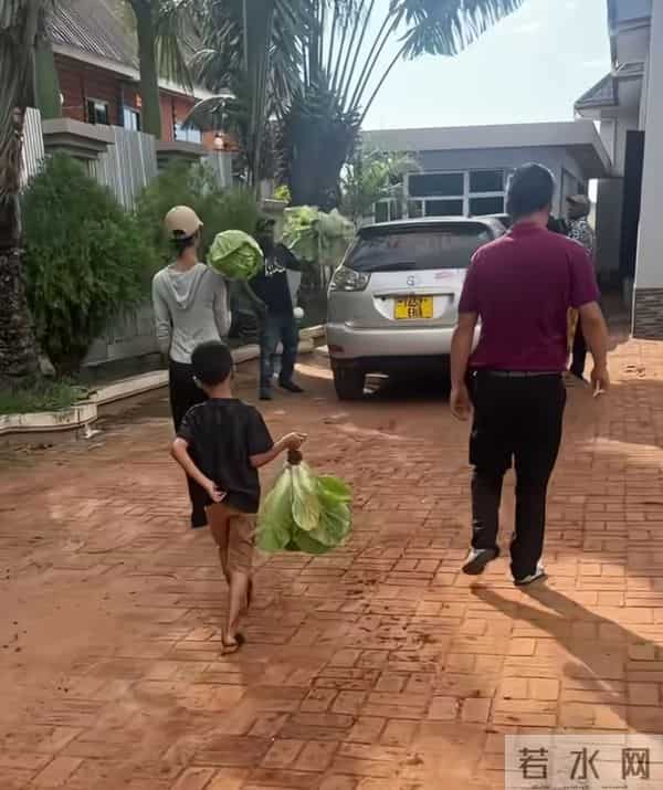 菲利丝母子终于露面,豆豆又黑又瘦惹人心疼