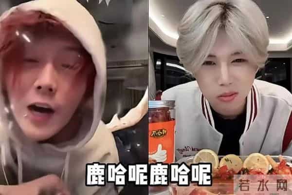 太突然！鹿哈官宣领证，3个月前已订婚，全网恭喜，终于等到这天