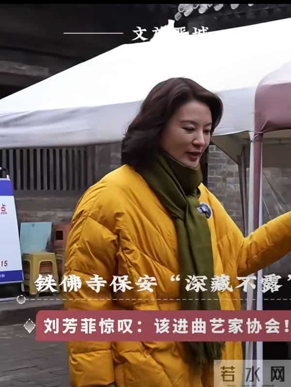 刘芳菲探访铁佛寺,姜黄羽绒服搭墨绿围巾,知性优雅尽显文旅风采