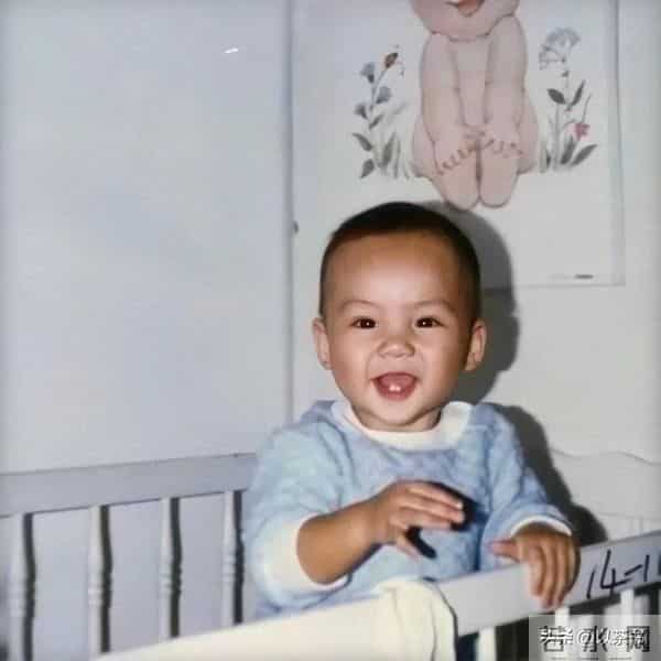 陈伟霆的妈妈是她,富家千金喜爱养狗面相慈祥,抚养仨孩子长大