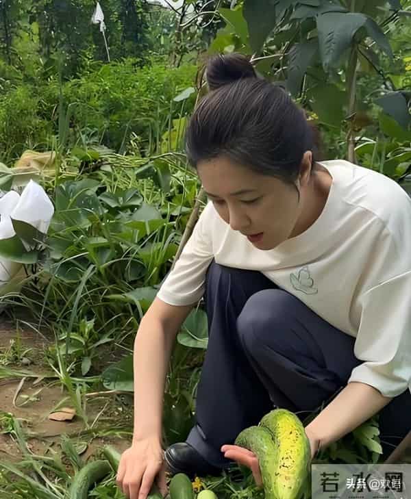 靠美貌征服无数男人,却出道至今零绯闻,49岁回老家种地素颜出镜