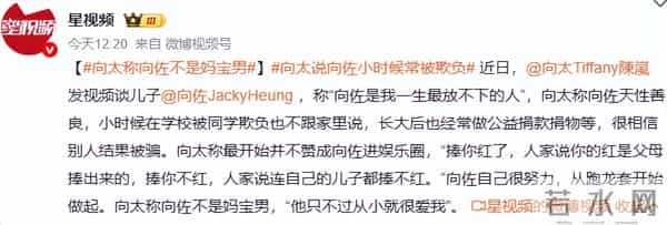 向太揭秘儿子欠债内幕！何超琼亲自向她道歉，向佐人傻被骗很多钱