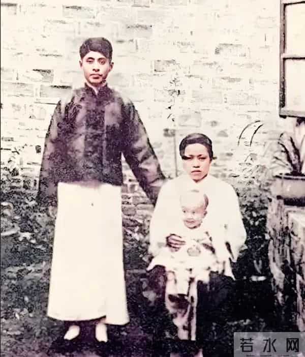 杨武之与妻子吵架,杨振宁保护母亲怒吼父亲,弟弟杨振平称赞哥哥