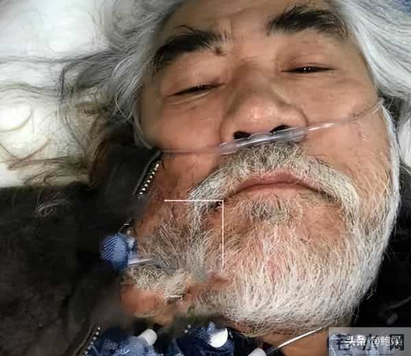 离婚8年后,“老夫少妻”张纪中终受反噬 杜星霖报警撕下最后体面