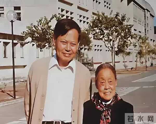 杨武之与妻子吵架,杨振宁保护母亲怒吼父亲,弟弟杨振平称赞哥哥