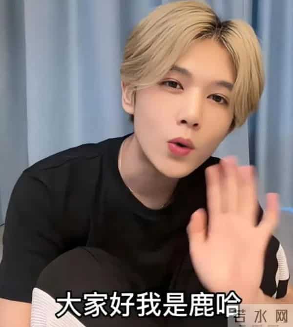 太突然！鹿哈官宣领证，3个月前已订婚，全网恭喜，终于等到这天