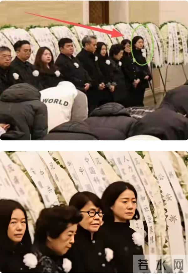 杨振宁先生离去才半个月，所有人的目光又聚焦在了翁帆身上。