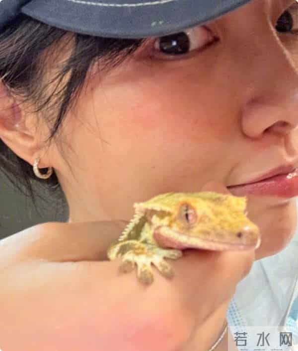 开撕!王传君老板发声反击,言辞犀利,真是一点脸面都不给对方留