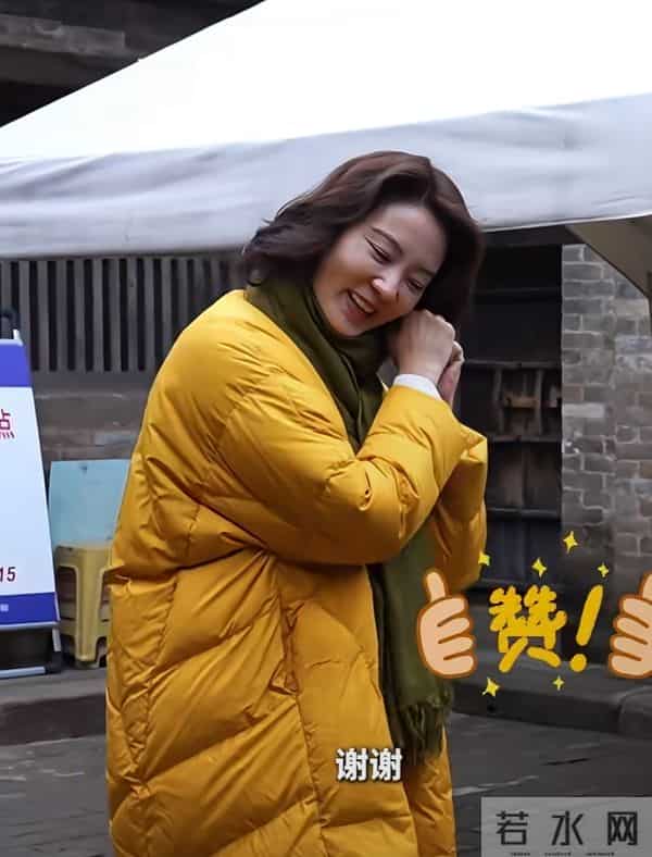 刘芳菲探访铁佛寺,姜黄羽绒服搭墨绿围巾,知性优雅尽显文旅风采