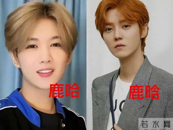 鹿哈官宣领证不到24小时，令人担心的事接连发生，岳云鹏没说错