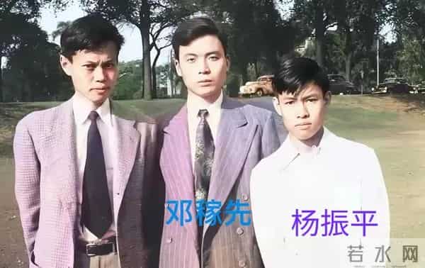 杨武之与妻子吵架,杨振宁保护母亲怒吼父亲,弟弟杨振平称赞哥哥