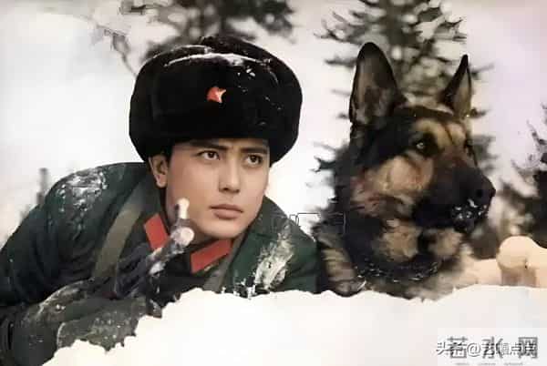 他俩是八十年代真正的银幕帅哥美女,如今发福的模样,你认出没?