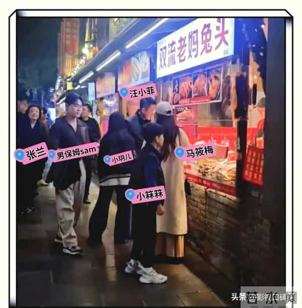 大S去世9个月后，张兰一句话说明了，她生前费尽心思的事情白费