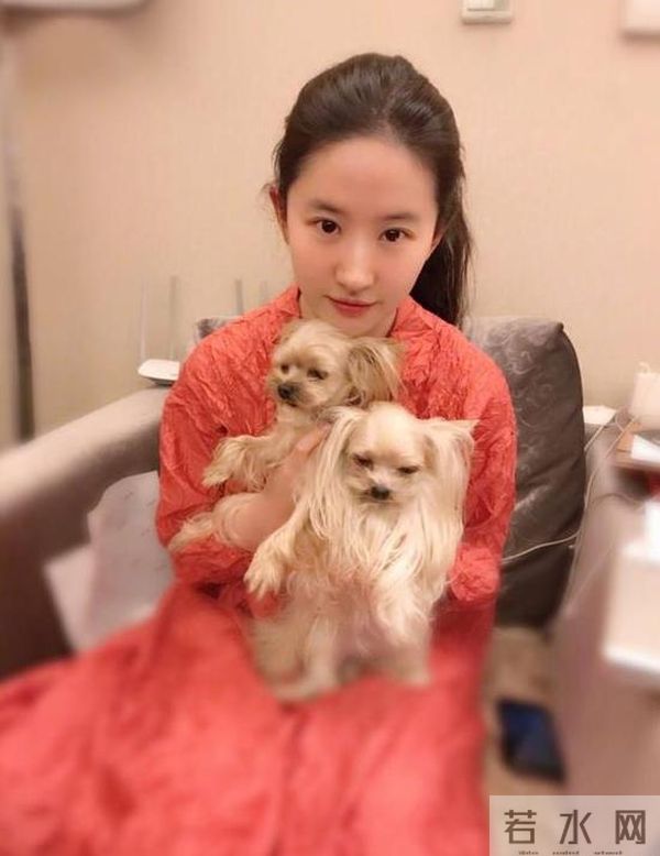刘亦菲:我是为了猫咪而工作的!家里后院竟养50多只流浪猫