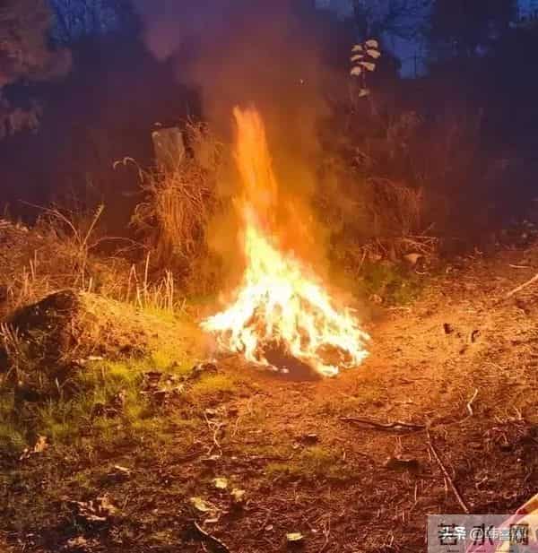 43岁歌手李根去世,唱快乐老家出名,一生未婚生子,现实版树先生