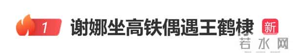 谢娜坐高铁偶遇王鹤棣,发文称:他一定是打听好我的行踪假装偶遇