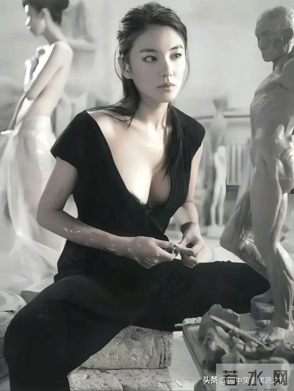 张雨绮 :集身材颜值气质于一身!