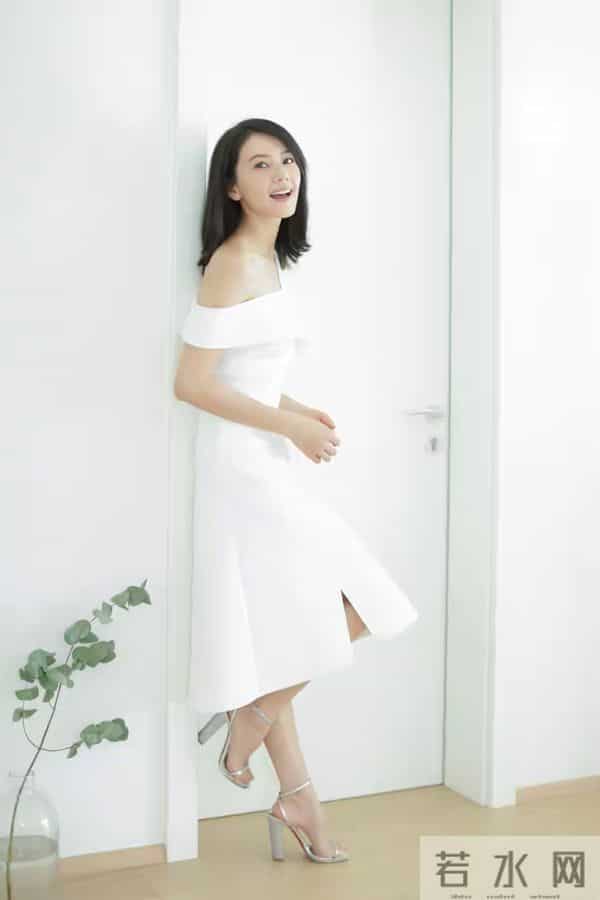 女明星,高圆圆的美