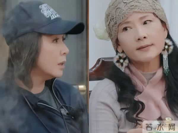 节目录3期,何赛飞刘嘉玲爆发2次争吵!全员和谐唯独她俩拖了后腿