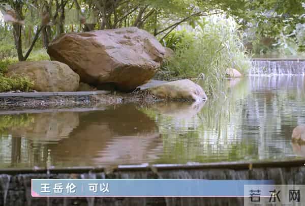 李湘回娘家，客厅大得像酒店大堂，无声中又炫了一把让人羡慕！