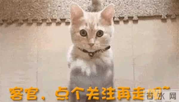 王家卫风波再升级！“重拳出击”唐嫣，连92岁的游本昌都遭了殃