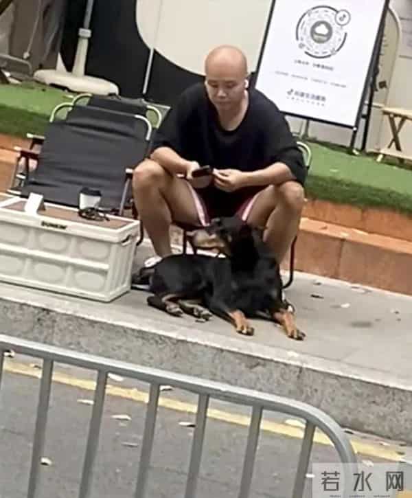 50岁乐嘉定居云南，牵着大狗外出，坐在路边看手机，生活非常悠闲