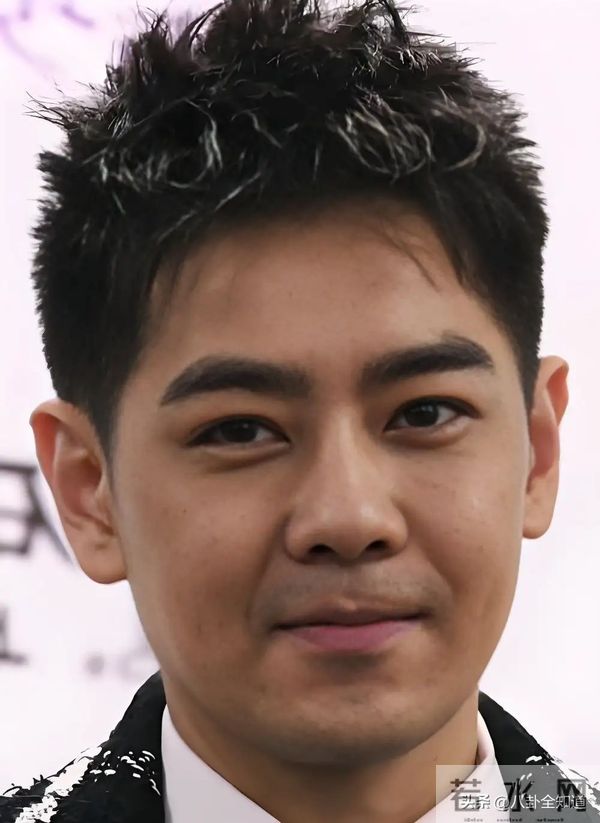 天呐,差点没认出来,不得不说,心中的男神林志颖也老了