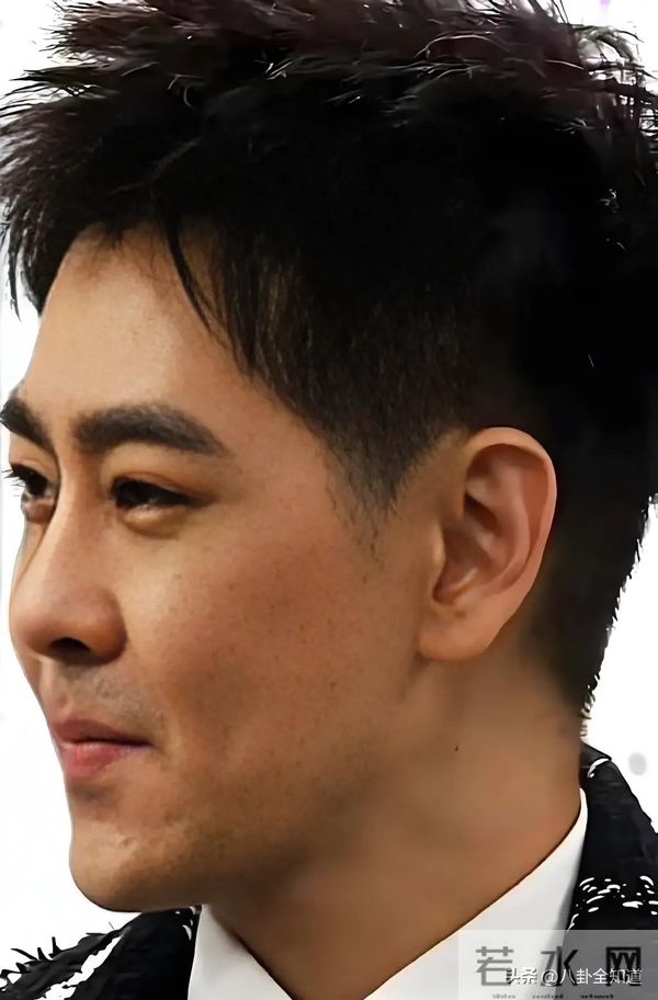 天呐,差点没认出来,不得不说,心中的男神林志颖也老了