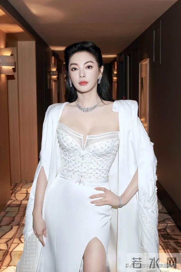 张雨绮 :集身材颜值气质于一身!