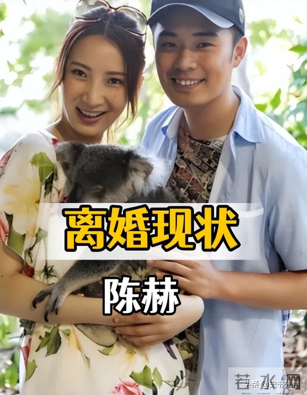 和陈赫离婚10年后,晒出情侣泳装照的许婧,没给前夫留一点体面