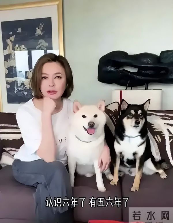 住着上亿豪宅,却无儿无女依靠弟弟养老,63岁的关之琳后悔过吗?