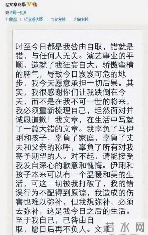 人狂必有祸!出轨11 年后,看到44岁文章现状,才明白马伊琍没说错